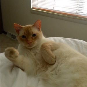 Meet your Posher, Audrey